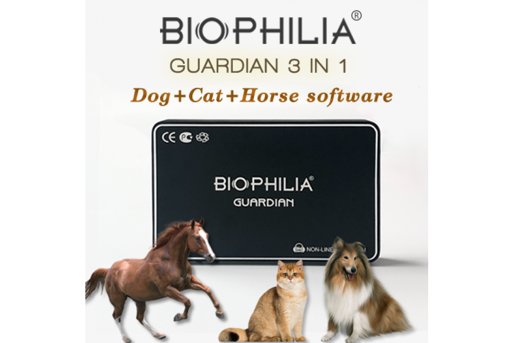 BIOPHILIA GUARDIAN that brings animals back to life.