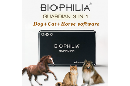 BIOPHILIA GUARDIAN that brings animals back to life.