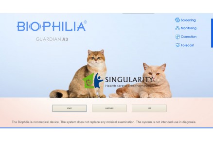 Terapia de biorresonancia para veterinarios: tratamiento innovador para nuestros amigos de cuatro patas
