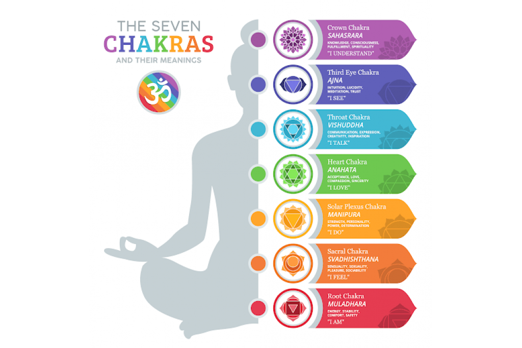 The Diagnostic Principle Of Meta Hunter with Chakra