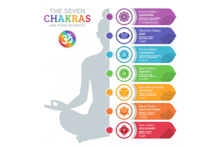 The Diagnostic Principle Of Meta Hunter with Chakra