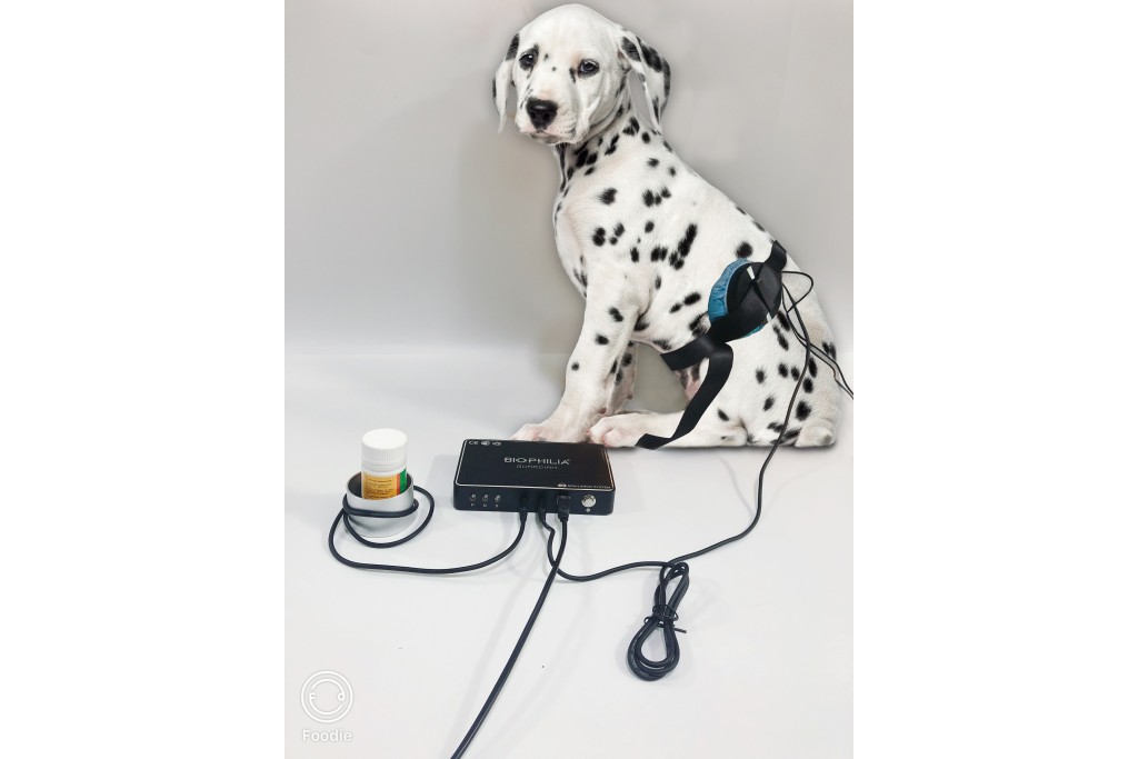 Caring for animals