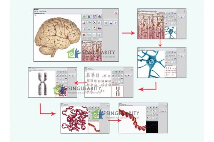 Questionnaire for Metatron Hunter Bioresonance machine Therapy