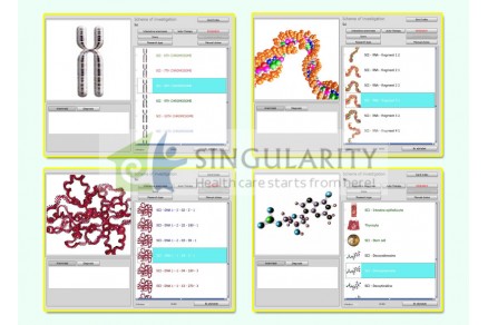 Scope of combined NLS-study for evaluation of patients  with cervix carcinoma treatment efficiency