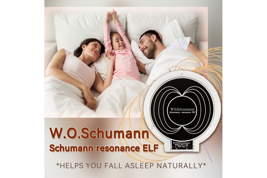 The Earth Brain Wave-Shumann Wave