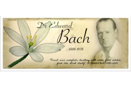 Bach_flower_remedies