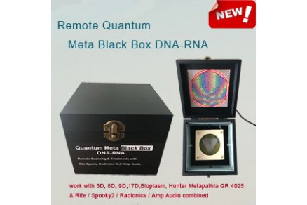 Black Box principle