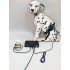 Biophilia Guardian A1 Bioresonance Machine for dogs