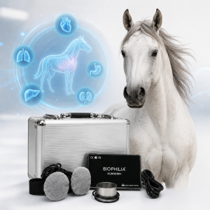 Biophilia Guardian A2 for horse scan and therapy