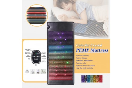 Pulsed Electromagnetic Fields (PEMF) Accelerate Sensorimotor Recovery Following Experimental Disc Herniation
