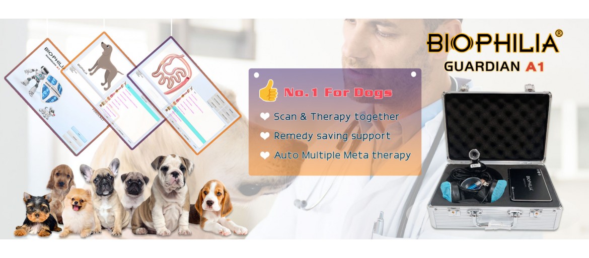 Home Page Slideshow