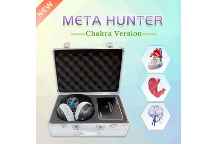 The application of Meta Hunter for the correction of the overtrained athlete syndrome