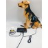 Biophilia Guardian A1 Bioresonance Machine for dogs