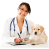 Biophilia Guardian A1 Bioresonance Machine for dogs