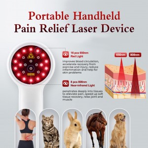 Portable Handheld Pain Relief Laser Device
