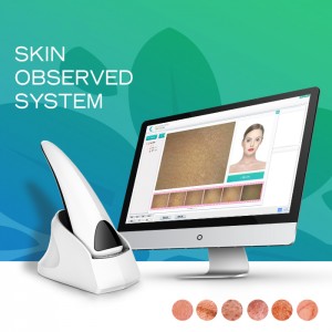 New Model Portable Skin Beauty Analyzer